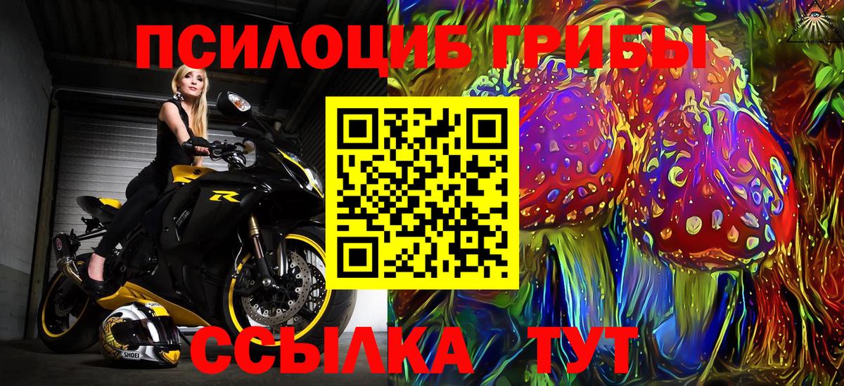 Обнинск  Псилоцибиновые грибы мухоморы  Псилоцибиновые грибы мицелий  Вход с VPN 